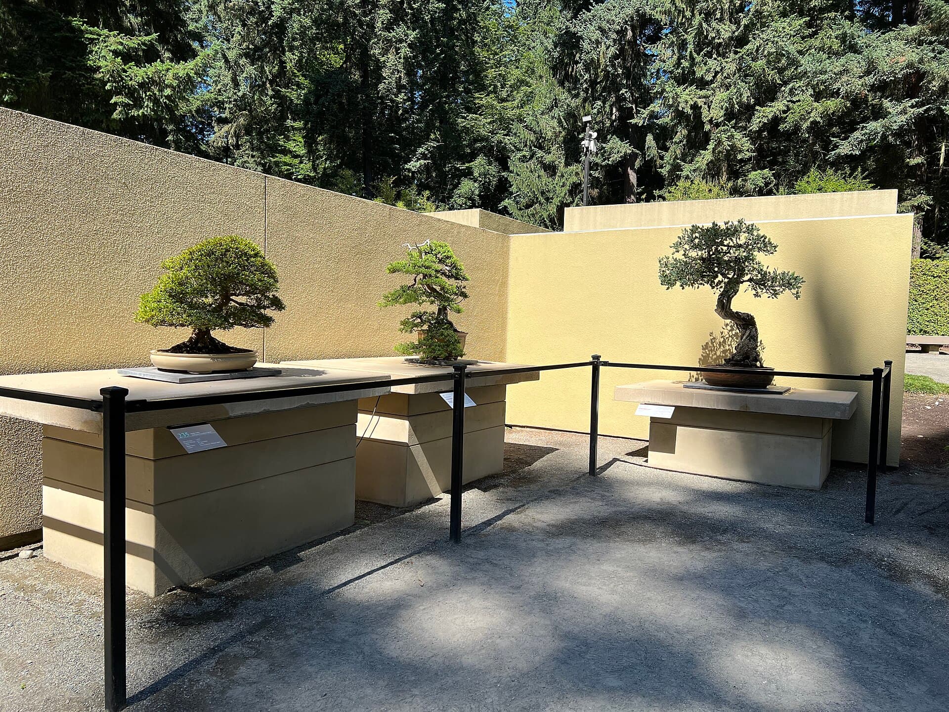 Exhibition benches, opening morning